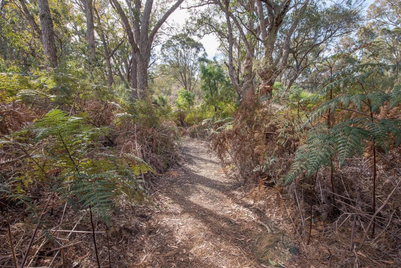 Yelverton Brook Conservation Sanctuary Metricup Екстер'єр фото