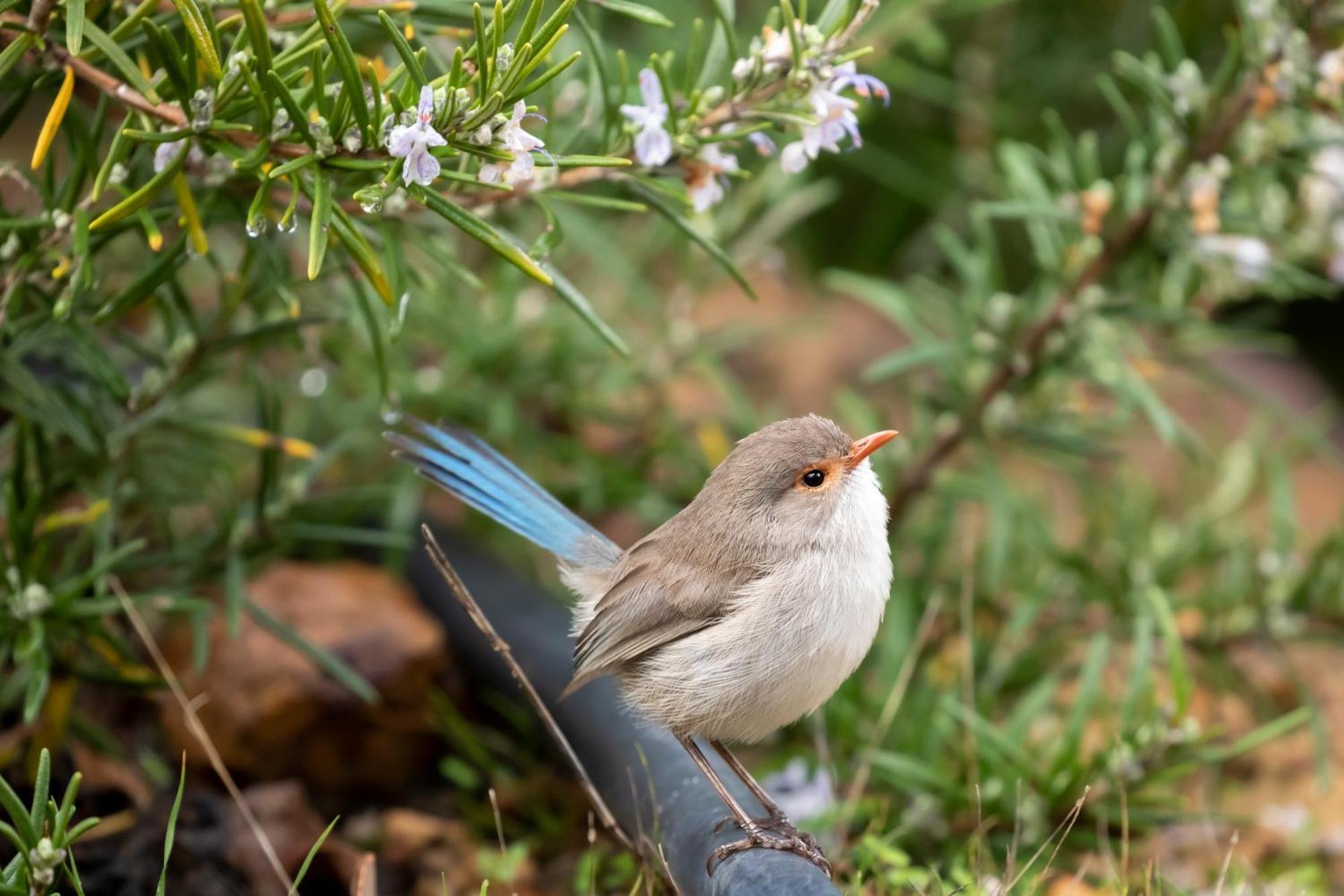 Yelverton Brook Conservation Sanctuary Metricup Екстер'єр фото