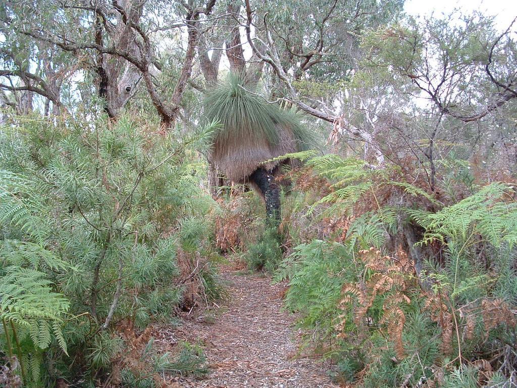 Yelverton Brook Conservation Sanctuary Metricup Екстер'єр фото